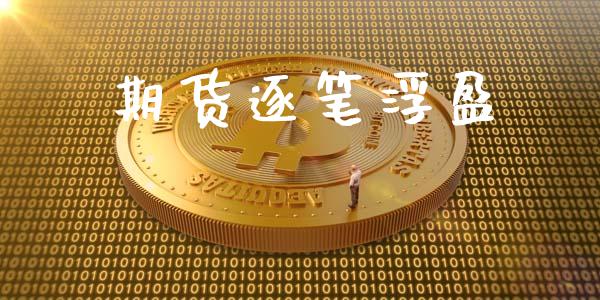 期货逐笔浮盈_https://m.jnkyh.com_期货开户条件_第1张