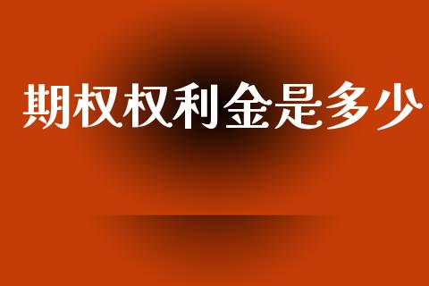 期权权利金是多少_https://m.jnkyh.com_股票交易_第1张