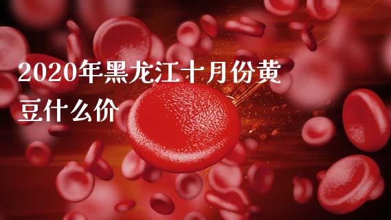 2020年黑龙江十月份黄豆什么价_https://m.jnkyh.com_股票交易_第1张
