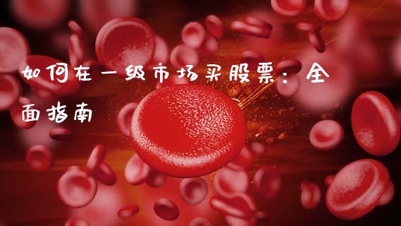 如何在一级市场买股票：全面指南_https://m.jnkyh.com_期货开户条件_第1张