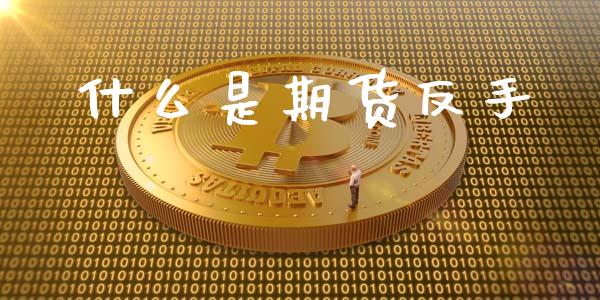 什么是期货反手_https://m.jnkyh.com_国际原油_第1张