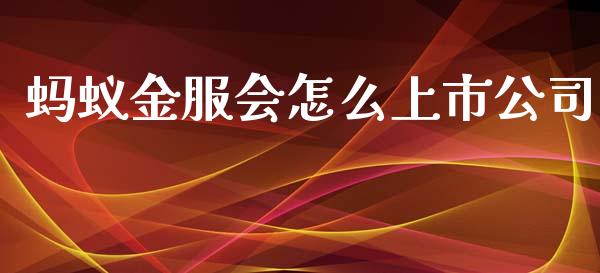 蚂蚁金服会怎么上市公司_https://m.jnkyh.com_国际原油_第1张