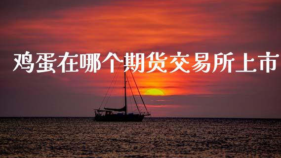 鸡蛋在哪个期货交易所上市_https://m.jnkyh.com_期货开户条件_第1张