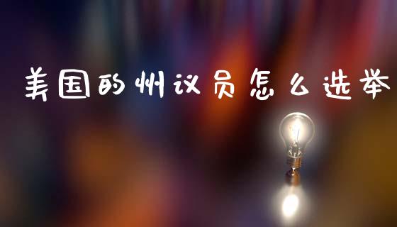 美国的州议员怎么选举_https://m.jnkyh.com_股票交易_第1张