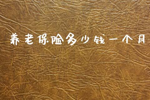 养老保险多少钱一个月_https://m.jnkyh.com_期货开户条件_第1张