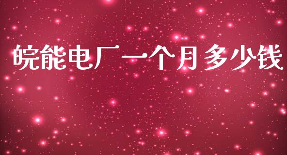 皖能电厂一个月多少钱_https://m.jnkyh.com_股票交易_第1张
