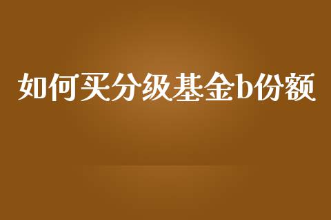 如何买分级基金b份额_https://m.jnkyh.com_股指期货_第1张