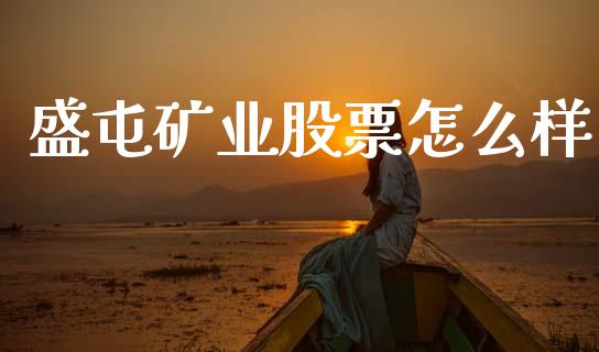 盛屯矿业股票怎么样_https://m.jnkyh.com_股指期货_第1张