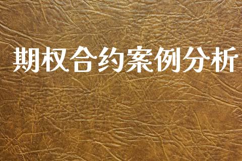 期权合约案例分析_https://m.jnkyh.com_股指期货_第1张