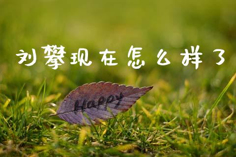 刘攀现在怎么样了_https://m.jnkyh.com_股指期货_第1张