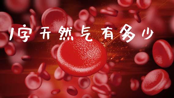 1字天然气有多少_https://m.jnkyh.com_国际原油_第1张