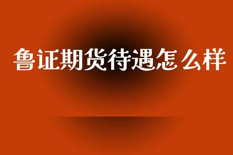 鲁证期货待遇怎么样_https://m.jnkyh.com_国际原油_第1张