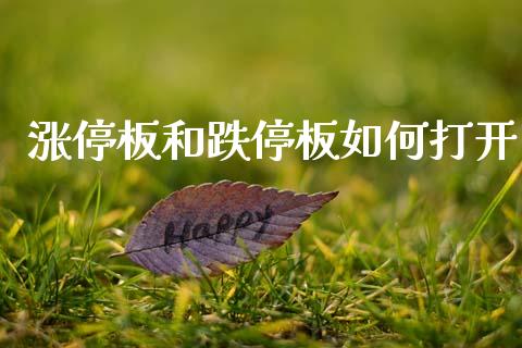 涨停板和跌停板如何打开_https://m.jnkyh.com_股指期货_第1张