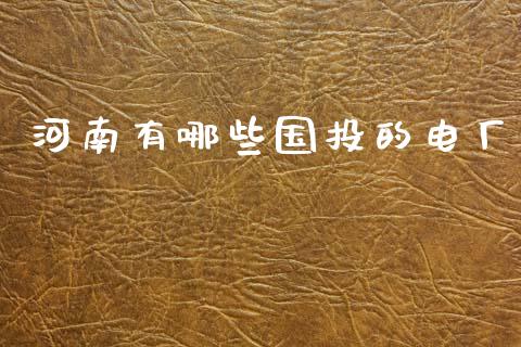 河南有哪些国投的电厂_https://m.jnkyh.com_国际原油_第1张