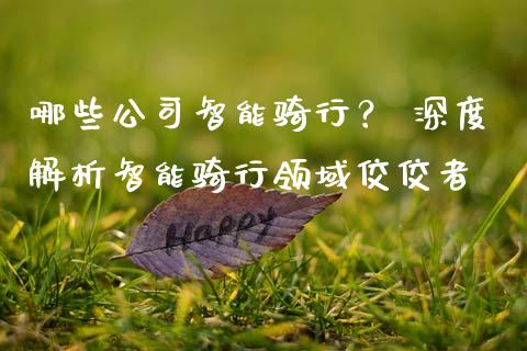 哪些公司智能骑行? 深度解析智能骑行领域佼佼者_期货开户条件_第1张_股指期货_期货开户条件_国际原油_股票交易 哪些公司智能骑行? 深度解析智能骑行领域佼佼者_https://m.jnkyh.com_期货开户条件_第1张