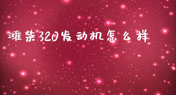 潍柴320发动机怎么样_https://m.jnkyh.com_国际原油_第1张