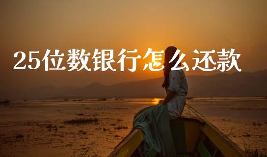 25位数银行怎么还款_https://m.jnkyh.com_期货开户条件_第1张