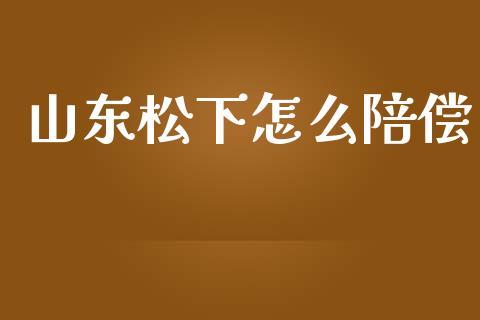 山东松下怎么陪偿_https://m.jnkyh.com_股票交易_第1张