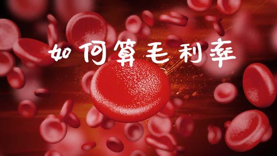 如何算毛利率_https://m.jnkyh.com_国际原油_第1张