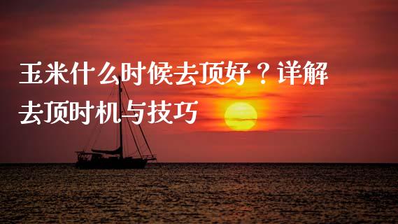 玉米什么时候去顶好？详解去顶时机与技巧_https://m.jnkyh.com_国际原油_第1张