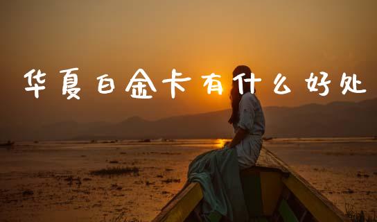 华夏白金卡有什么好处_https://m.jnkyh.com_期货开户条件_第1张