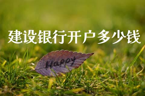 建设银行开户多少钱_https://m.jnkyh.com_期货开户条件_第1张
