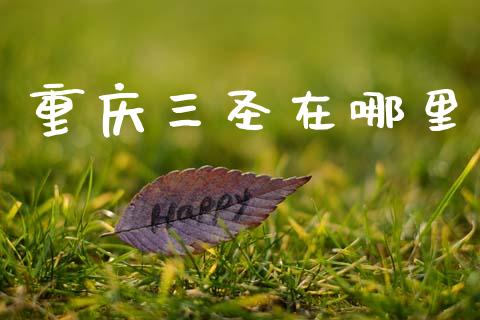 重庆三圣在哪里_https://m.jnkyh.com_国际原油_第1张
