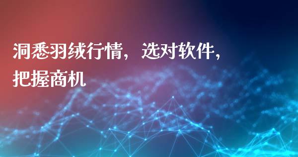 洞悉羽绒行情，选对软件，把握商机_https://m.jnkyh.com_股票交易_第1张