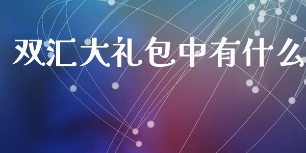 双汇大礼包中有什么_https://m.jnkyh.com_股指期货_第1张