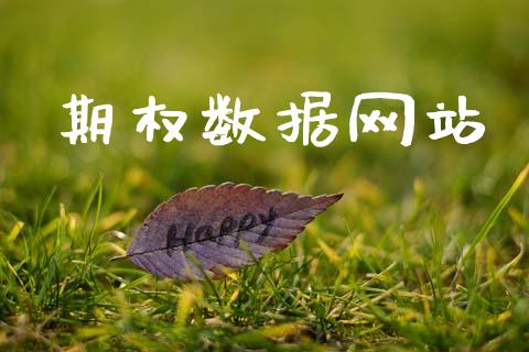 期权数据网站_https://m.jnkyh.com_股票交易_第1张