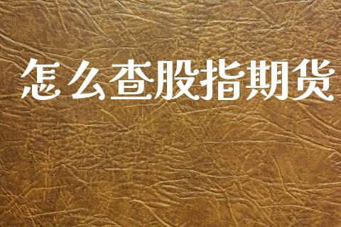 怎么查股指期货_https://m.jnkyh.com_股指期货_第1张