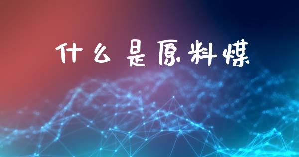 什么是原料煤_https://m.jnkyh.com_股指期货_第1张