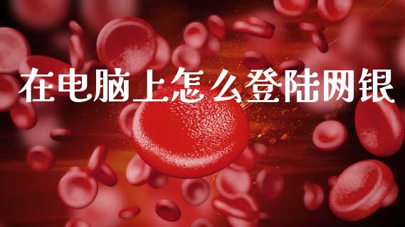 在电脑上怎么登陆网银_https://m.jnkyh.com_国际原油_第1张