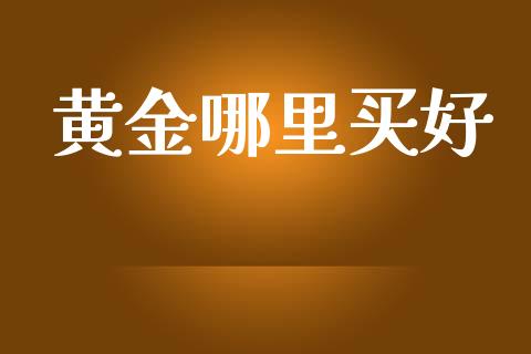 黄金哪里买好_https://m.jnkyh.com_股票交易_第1张