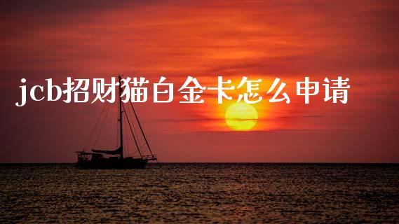 jcb招财猫白金卡怎么申请_https://m.jnkyh.com_期货开户条件_第1张