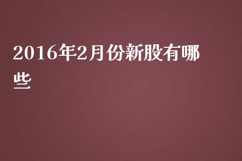 2016年2月份新股有哪些_https://m.jnkyh.com_股指期货_第1张