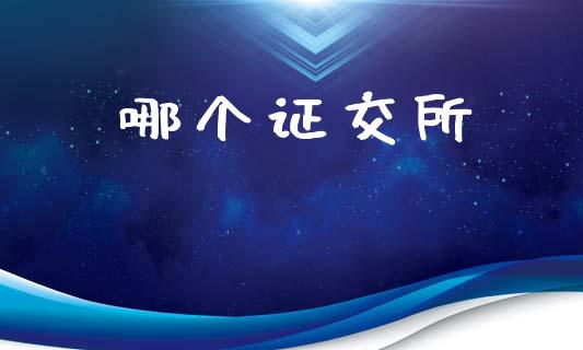 哪个证交所_https://m.jnkyh.com_股指期货_第1张