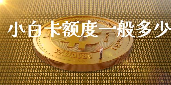 小白卡额度一般多少_https://m.jnkyh.com_股票交易_第1张