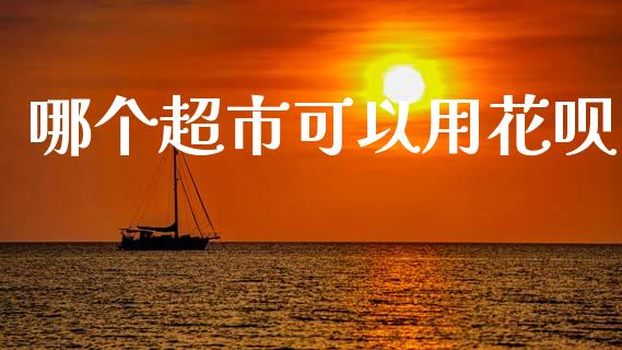 哪个超市可以用花呗_https://m.jnkyh.com_期货开户条件_第1张