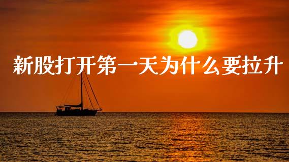 新股打开第一天为什么要拉升_https://m.jnkyh.com_股指期货_第1张
