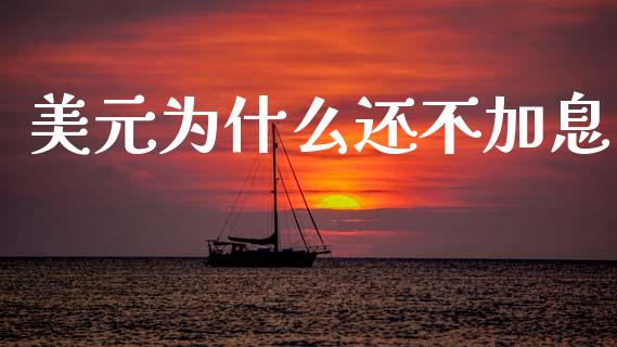 美元为什么还不加息_https://m.jnkyh.com_股指期货_第1张