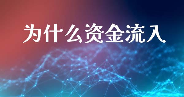 为什么资金流入_https://m.jnkyh.com_期货开户条件_第1张
