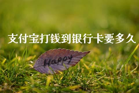 支付宝打钱到银行卡要多久_https://m.jnkyh.com_股票交易_第1张
