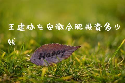 王建林在安徽合肥投资多少钱_https://m.jnkyh.com_国际原油_第1张