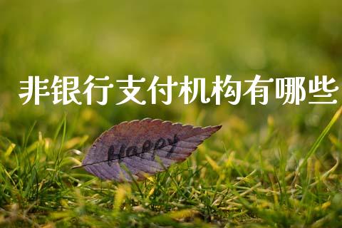 非银行支付机构有哪些_https://m.jnkyh.com_股票交易_第1张