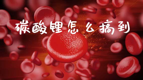 碳酸锂怎么搞到_https://m.jnkyh.com_股指期货_第1张