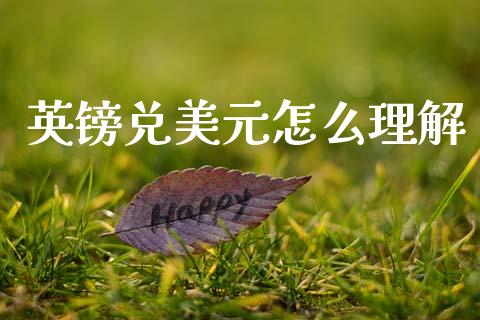 英镑兑美元怎么理解_https://m.jnkyh.com_国际原油_第1张