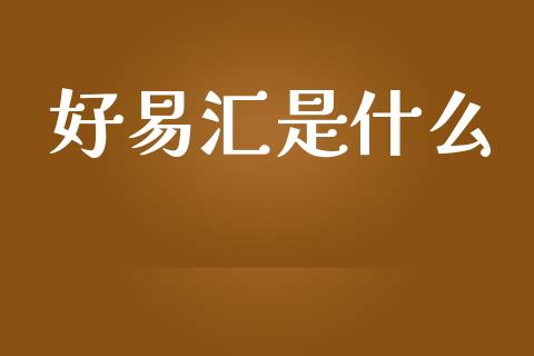 好易汇是什么_https://m.jnkyh.com_期货开户条件_第1张
