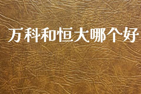 万科和恒大哪个好_https://m.jnkyh.com_股票交易_第1张