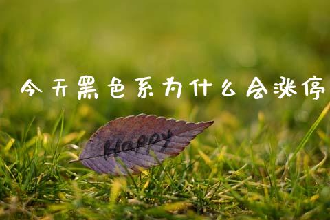 今天黑色系为什么会涨停_https://m.jnkyh.com_国际原油_第1张